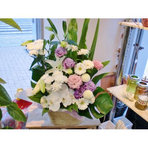 ���J�T�u�����J�@�Ӓ������聚�����s���N�n���܂����@�䋟�@�A�����W��