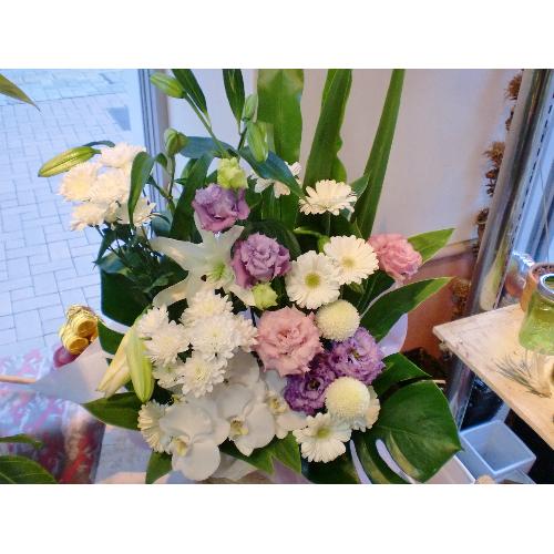 ���J�T�u�����J�@�Ӓ������聚�����s���N�n���܂����@�䋟�@�A�����W��2