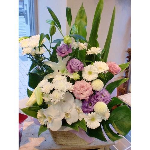 ���J�T�u�����J�@�Ӓ������聚�����s���N�n���܂����@�䋟�@�A�����W��3