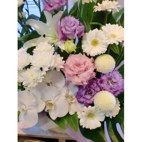���J�T�u�����J�@�Ӓ������聚�����s���N�n���܂����@�䋟�@�A�����W��4