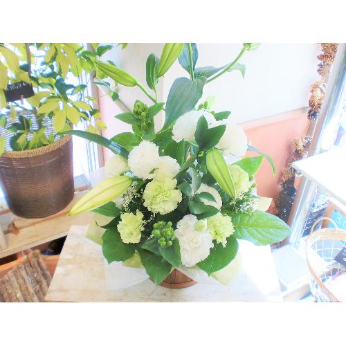 ���J�T�u�����J�@�����������n���܂����䋟�A�����W