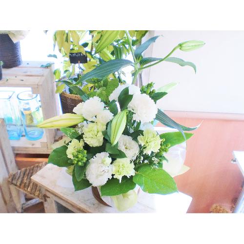 ���J�T�u�����J�@�����������n���܂����䋟�A�����W4