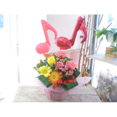���o���[���t�����[����2�R���J���t���ɂ��܂�����2