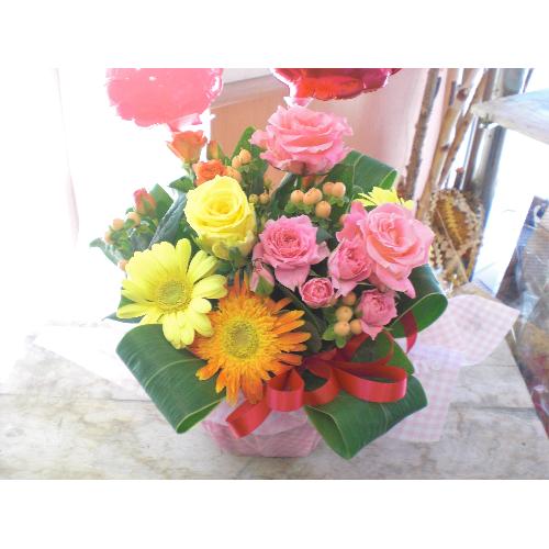 ���o���[���t�����[����2�R���J���t���ɂ��܂�����4