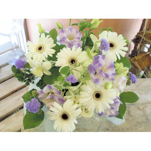 ���z���C�g�@�K�[�x�����聚��+���n�ł��܂�������4
