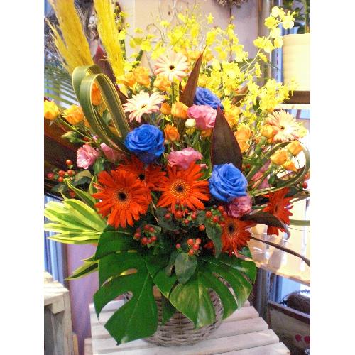 ���o�����聚�؂₩���؂ɂ��܂����A�����W��2
