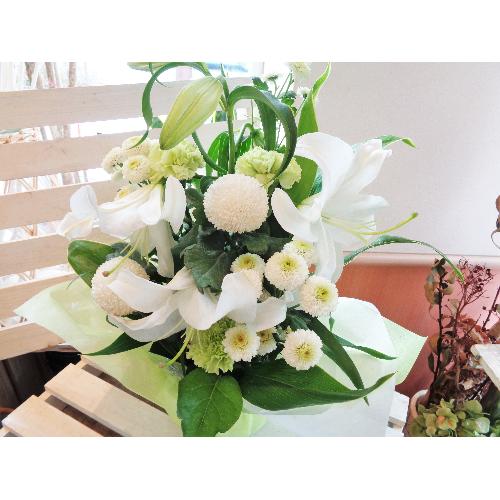 ���J�T�u�����J���聚��+�W���ΐF���܂����䋟����3