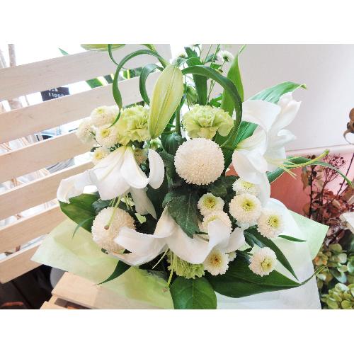 ���J�T�u�����J���聚��+�W���ΐF���܂����䋟����4