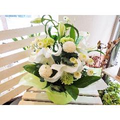 ���J�T�u�����J���聚��+�W���ΐF���܂����䋟����