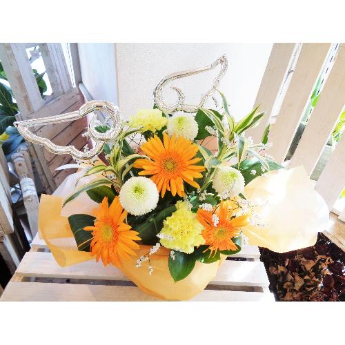 ���V�g�̉H�@�s���|���}�����聚���F�I�����W�n����