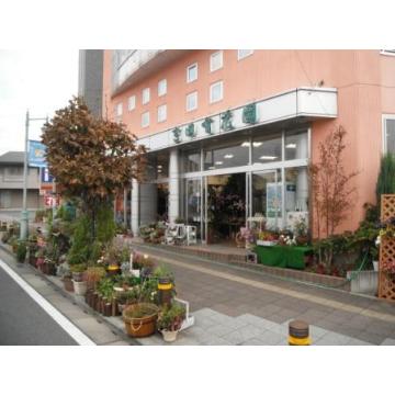 �X�܊O�ω摜
