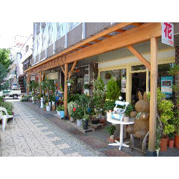 �X�܊O�ω摜
