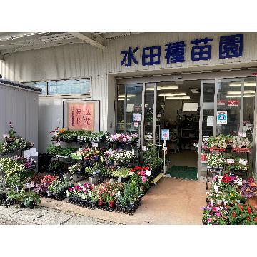 �X�܊O�ω摜