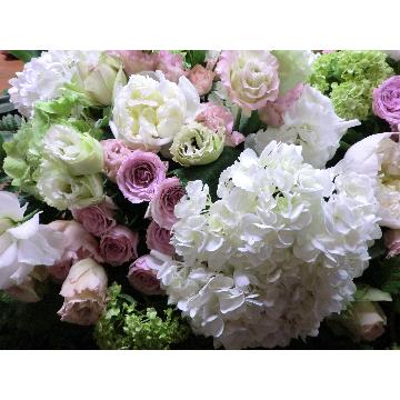 �X�܊O�ω摜
