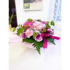 �J�[�l�̃s���N�n�A�����W�����g�@��̓�