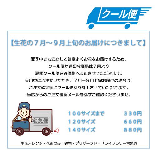 �J�[�l�̃o���̃s���N�n�A�����W�����g�i��j��̓�4