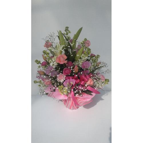 �C�i�L���ȕS���̃A�����W�����g