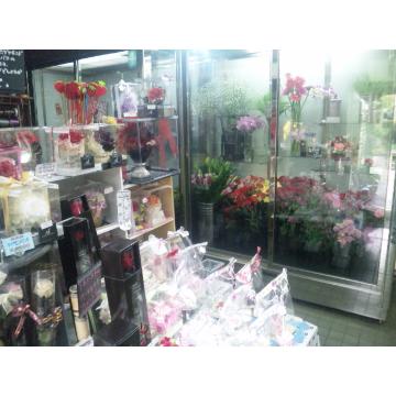 �X�^�b�t�摜