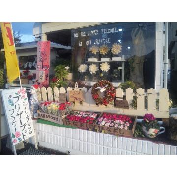 �X�܊O�ω摜