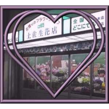 �X�܊O�ω摜