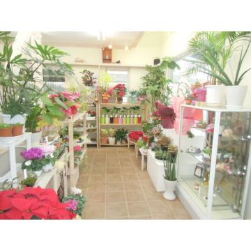 �X�ܓ��ω摜