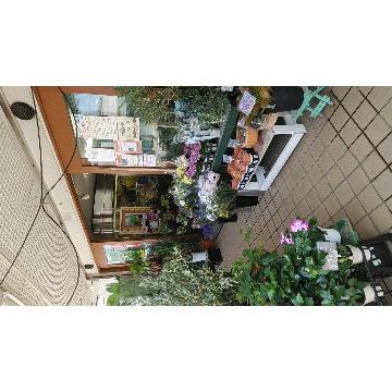 �X�܊O�ω摜