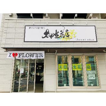 �X�܊O�ω摜