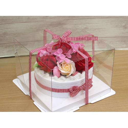 �t���O�����X�P�[�LRed3