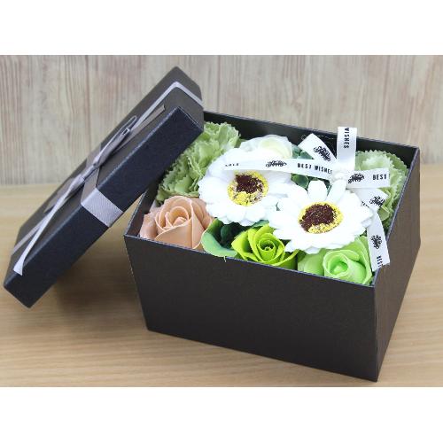 �t���O�����XminiBOX�@Green
