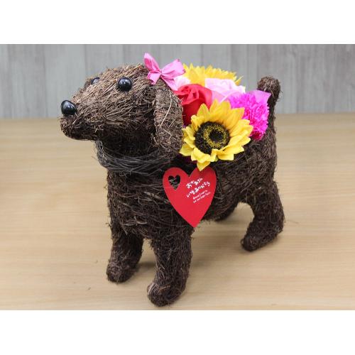 Dog�@�t���O�����X�����G�}�G�R�t�����[3