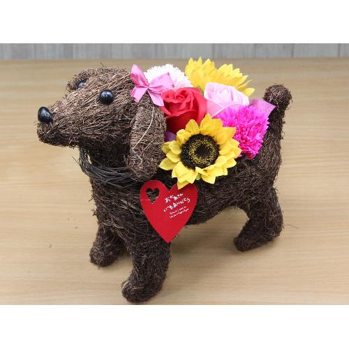 Dog�̂��U���@�t���O�����X�����G�}