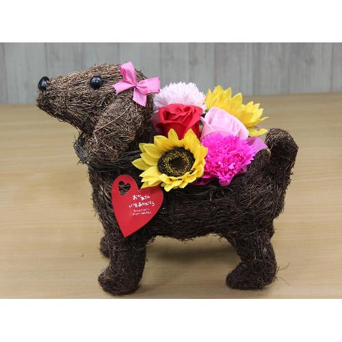 Dog�̂��U���@�t���O�����X�����G�}2