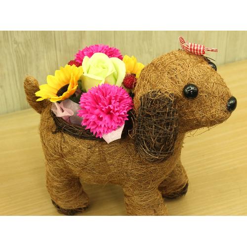 �V���R���K�[���̂��U���@�t���O�����X�����G�}3