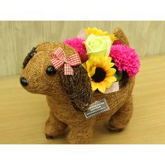 �V���R���K�[���̂��U���@�t���O�����X�����G�}