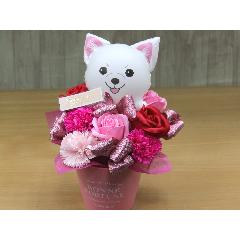 ���΂̃o���[���ƃt���O�����X�t�����[RP