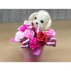 ���v�[�h���̃o���[���ƃt���O�����X�t�����[RP