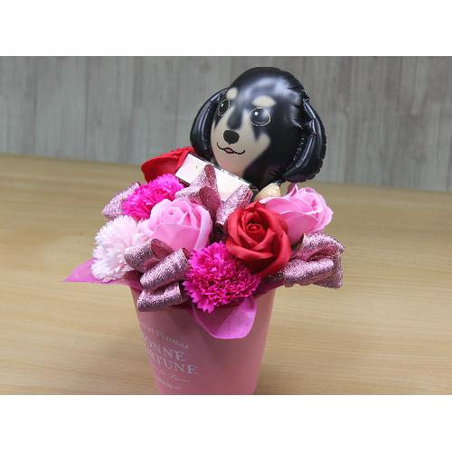 �_�b�N�X�̃o���[���ƃt���O�����X�t�����[RP3