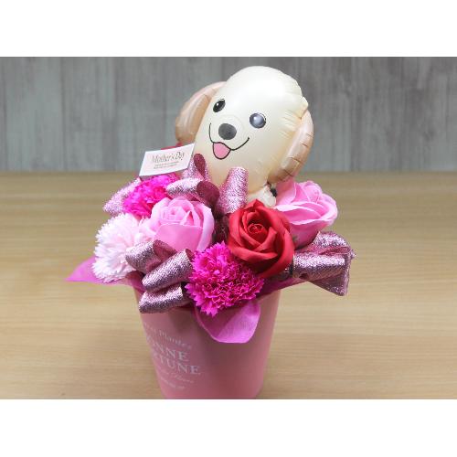 �S�[���f���̃o���[���ƃt���O�����X�t�����[RP3