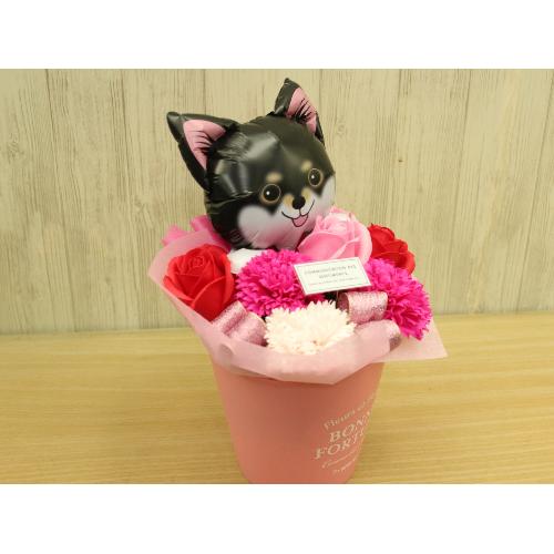 �����΂̃o���[���ƃt���O�����X�t�����[RP3