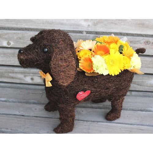 �yDog�@L�z  ���C��͂���C�G���[�I�����W��