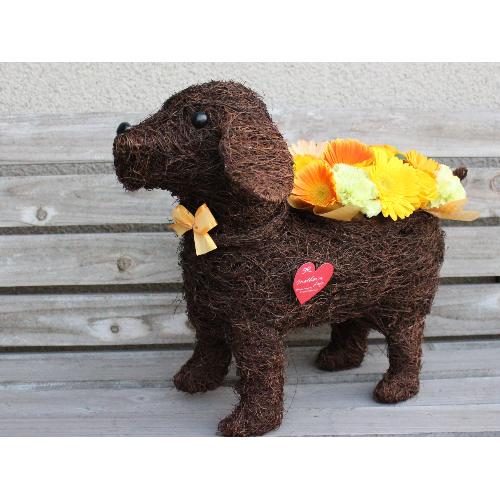 �yDog�@L�z  ���C��͂���C�G���[�I�����W��3