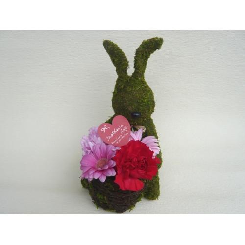 Moss�@Rabbit�@�@�t�����[�A�����W�����g