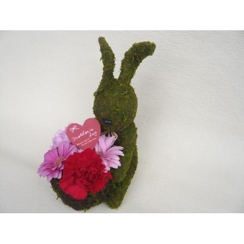 Moss�@Rabbit�@�@�t�����[�A�����W�����g2