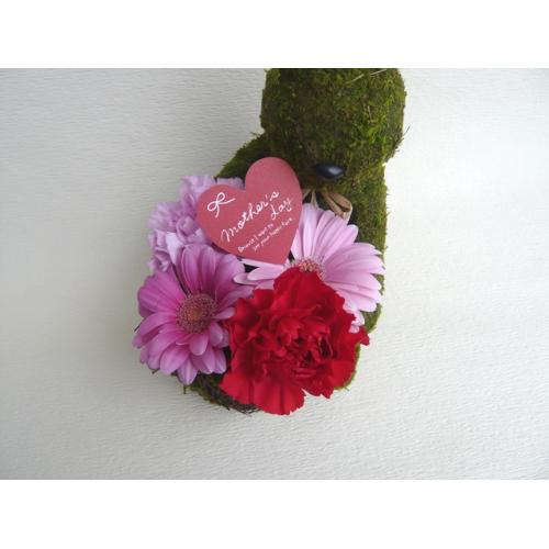 Moss�@Rabbit�@�@�t�����[�A�����W�����g3