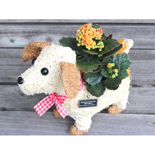  �h�M�[S YO�@�Ԕ�