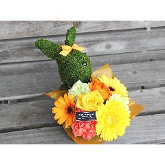 Moss�@Rabbit�K�[���@�v���X YO