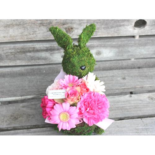 Moss�@Rabbit�@�v���X PR