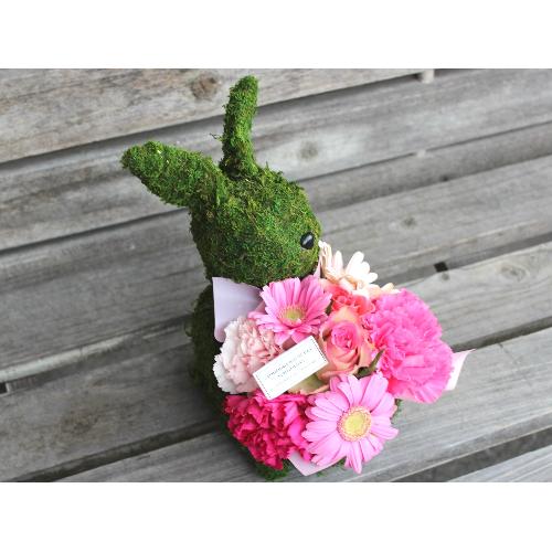 Moss�@Rabbit�@�v���X PR2