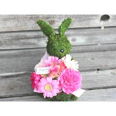 Moss�@Rabbit�@�v���X PR