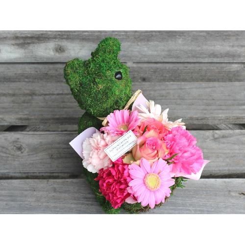Moss�@Bear�@�v���X RP